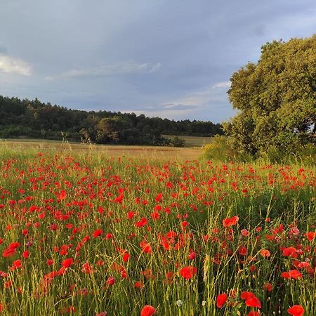 Gite A La Campagne, Proche Carcassonne Alairac Esterno foto